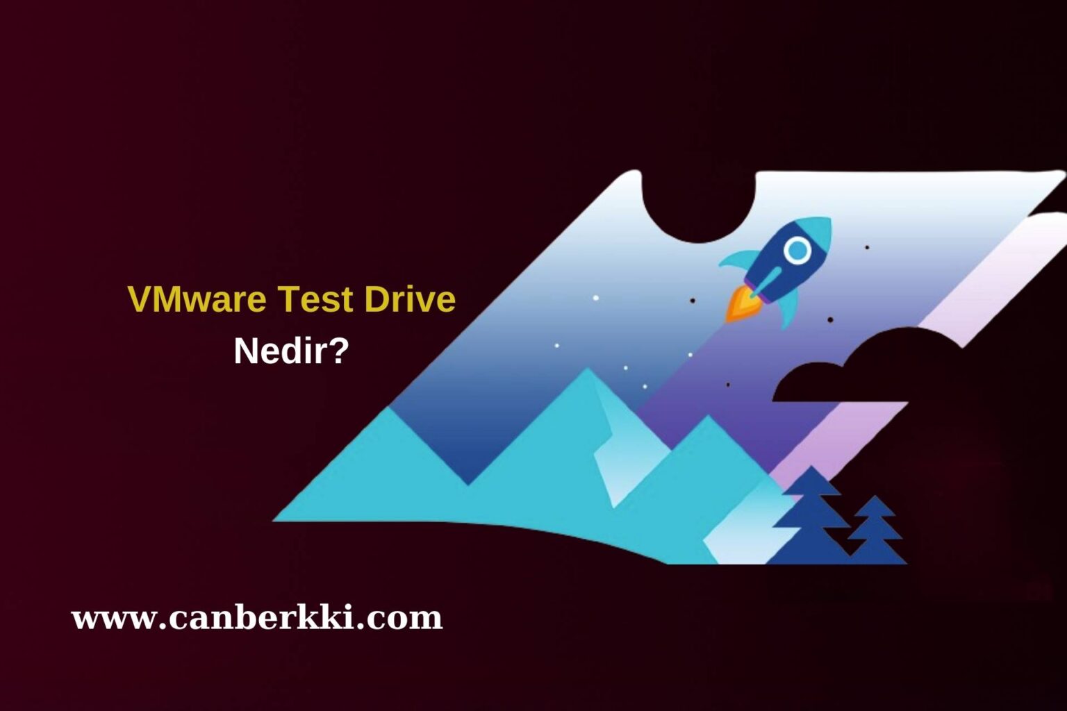 VMware Test Drive Nedir?
